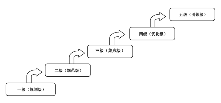 图2 成熟度等级